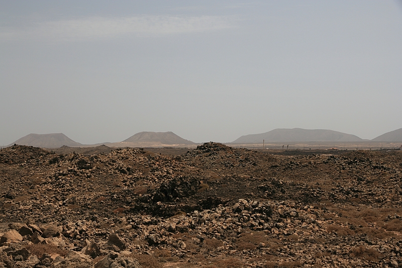 Kanary_2010 121